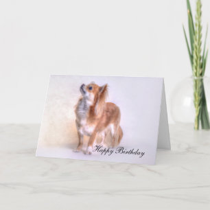 Carte d'anniversaire du Chihuahua