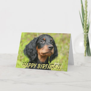 Carte d'anniversaire du chiot Gordon Setter