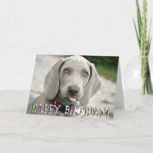 Carte d'anniversaire du chiot weimaraner mignonne
