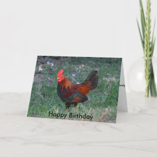 Carte d'anniversaire du coq