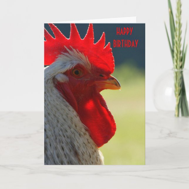 Carte d'anniversaire du coq (Devant)