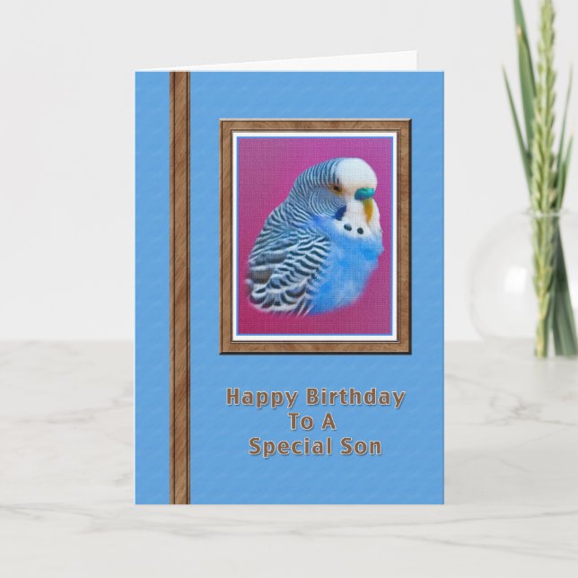 Carte d'anniversaire du Fils avec Parakeet Bleu (Devant)