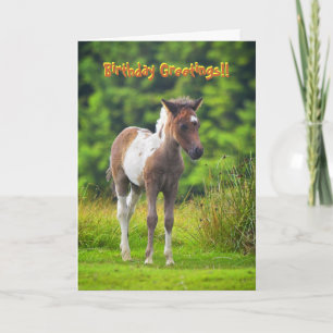 Carte d'anniversaire du Foie Dartmoor Pony