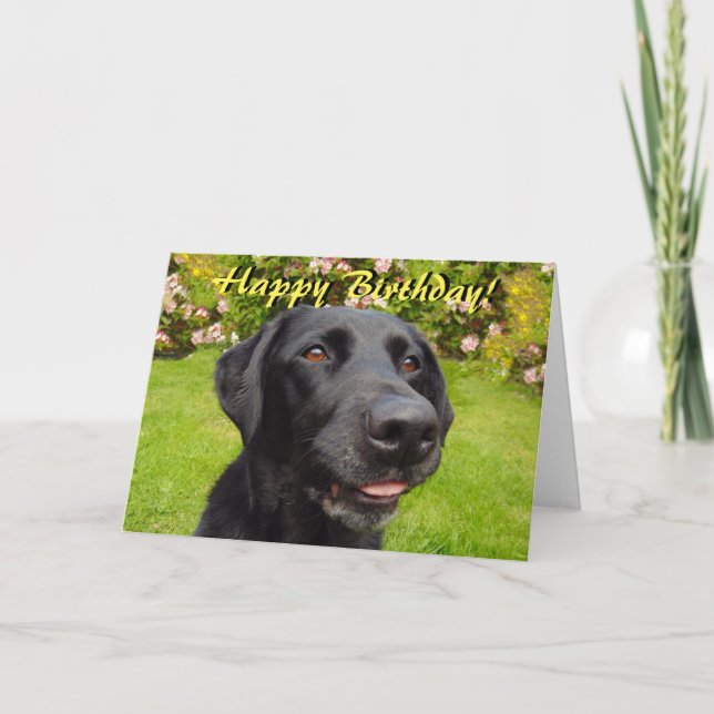 Carte d'anniversaire du labrador noir (Devant)