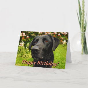 Carte d'anniversaire du labrador noir
