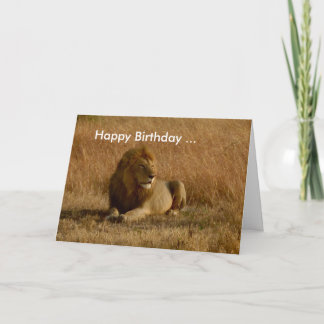 Carte d'anniversaire du lion.