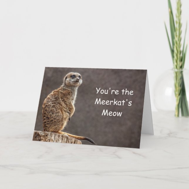 Carte d'anniversaire du Meow de Meerkat (Devant)