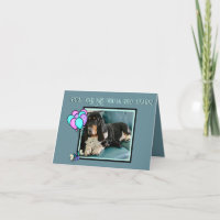 Carte d'Anniversaire du mignon Basset sur "Chien Y