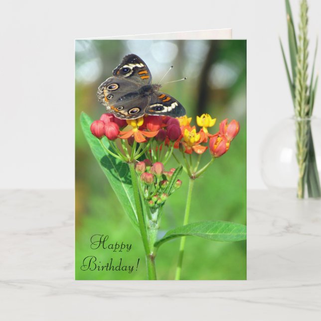 Carte d'anniversaire du papillon commun SIL (Devant)