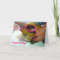 Carte d'anniversaire du porc de Guinée