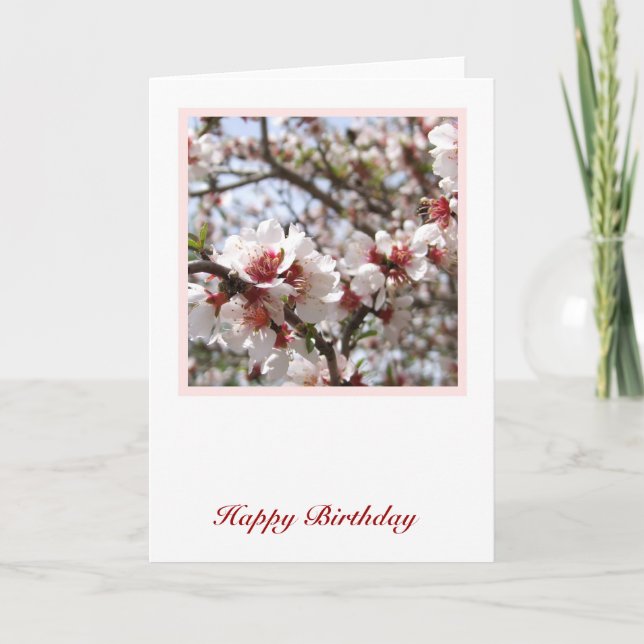Carte d'anniversaire du printemps (Devant)