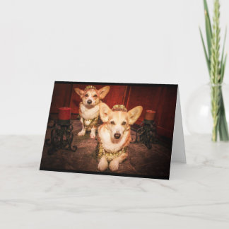 Carte d'anniversaire du roi et de la reine Corgi