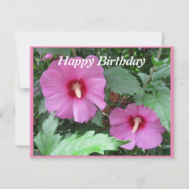 Carte d'anniversaire du rose de Sharon (Devant)