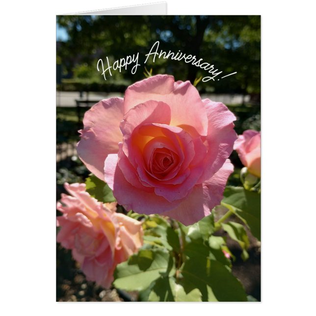 Carte d'anniversaire du Rose de thé rose radiant (Devant)