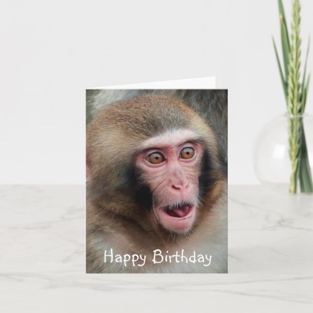 Carte d'anniversaire du singe macaque japonais (Devant)