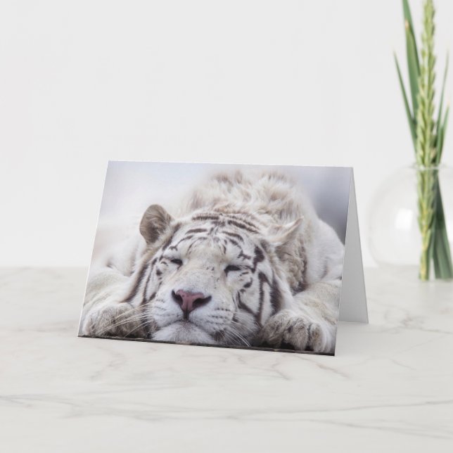 CARTE D'ANNIVERSAIRE DU TIGRE BLANC RELAXANT (Devant)