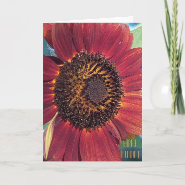 Carte d'anniversaire du tournesol rouge (Devant)