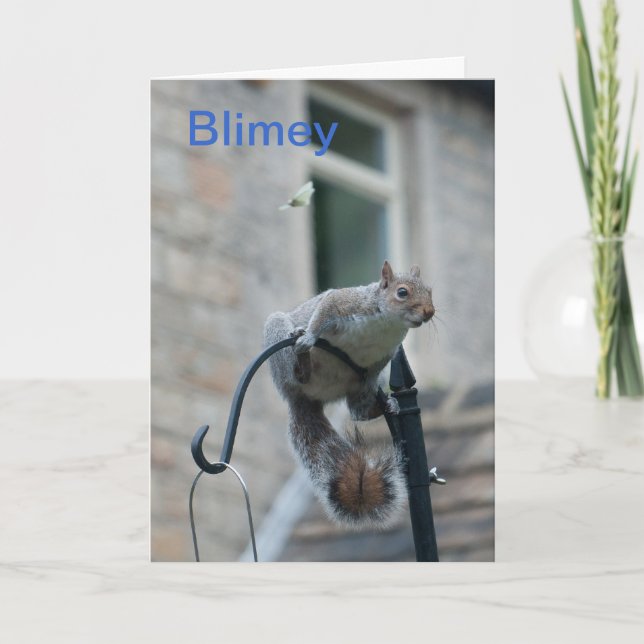 Carte d'anniversaire : Écureuil et papillon (Devant)