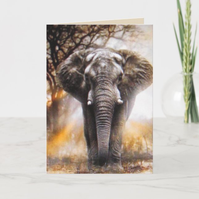 Carte d'anniversaire éléphant (Devant)
