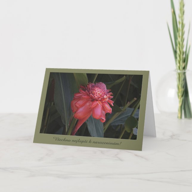 Carte d'anniversaire en tchèque (Devant)