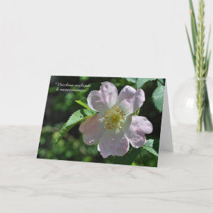 Carte d'anniversaire en tchèque