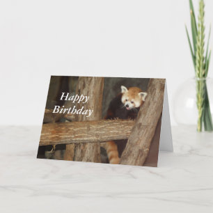 Carte d'anniversaire Escalade Panda