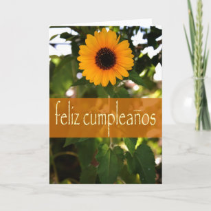 Cartes Espagnol D Anniversaire Zazzle Fr