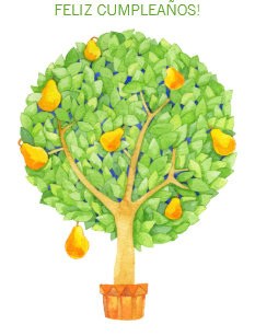 Cartes Espagnol D Anniversaire Zazzle Fr