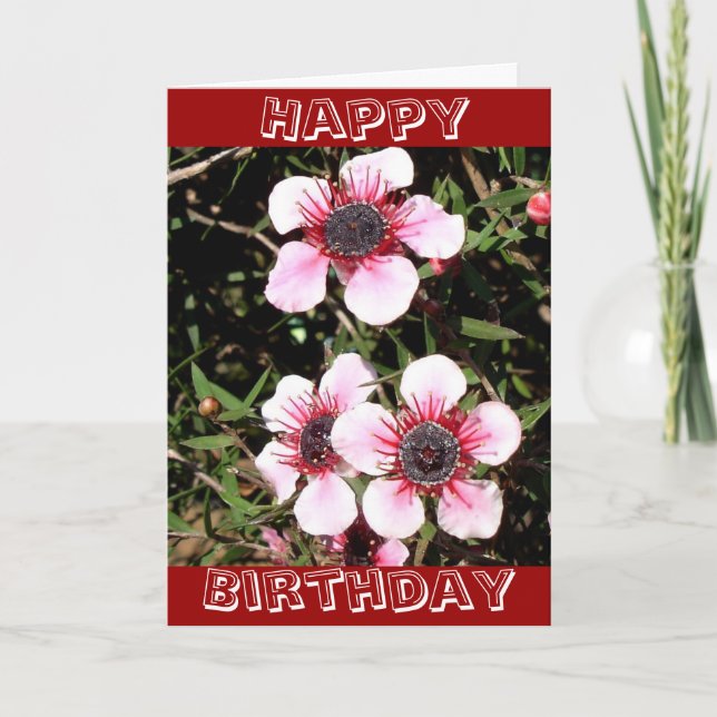 Carte d'anniversaire exotique de fleurs (Devant)