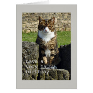 Carte d'anniversaire fâchée de chat