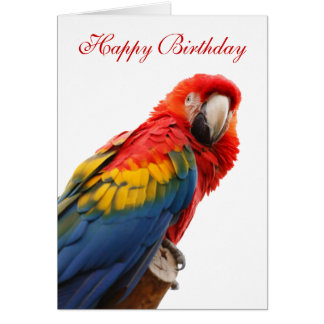 https://rlv.zcache.fr/carte_danniversaire_faite_sur_commande_de_belle-r50c43191b50f40bca04ff72ba9864db3_xvuat_8byvr_324.jpg