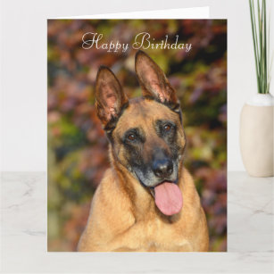 Invitations Faire Part Cartes Anniversaire Belge Zazzle Fr