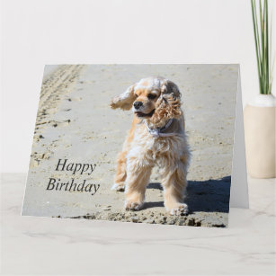 Cartes Cocker D Anniversaire Zazzle Fr