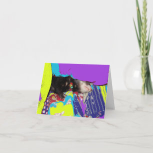 Carte d'anniversaire Ferret Nap