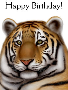Cartes De Tigre Grandes D Anniversaire Zazzle Fr