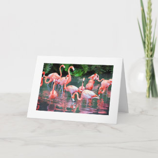 Carte d'anniversaire Flamant rose
