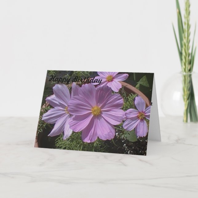 Carte d'anniversaire Fleur de Cosmos Rose (Devant)