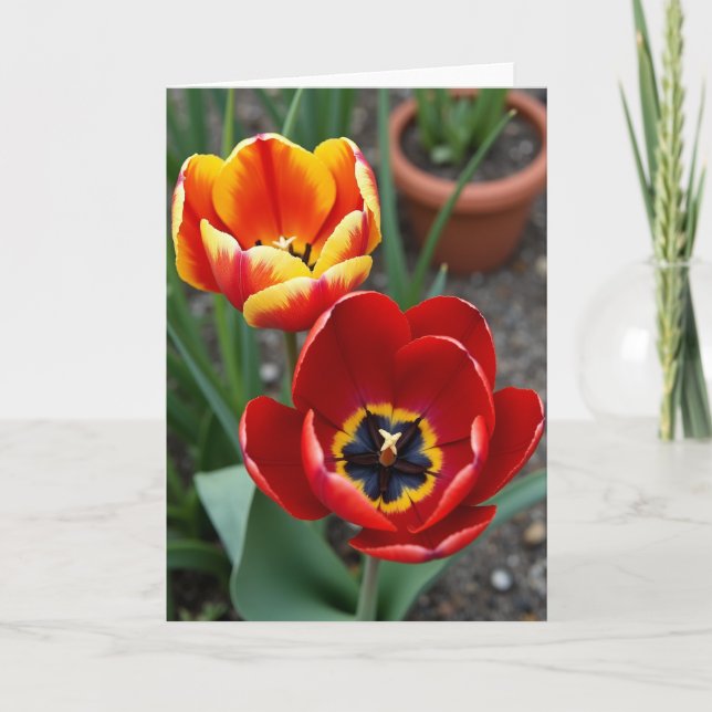 Carte d'anniversaire Fleur de velours (Devant)