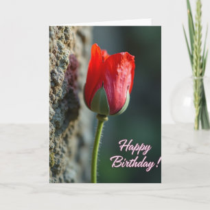 Carte d'anniversaire Fleur Écarlate