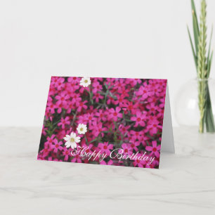 Carte d'anniversaire Fleurs roses jolies
