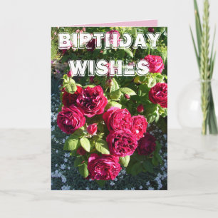 Carte d'anniversaire florale au jardin de fleurs d