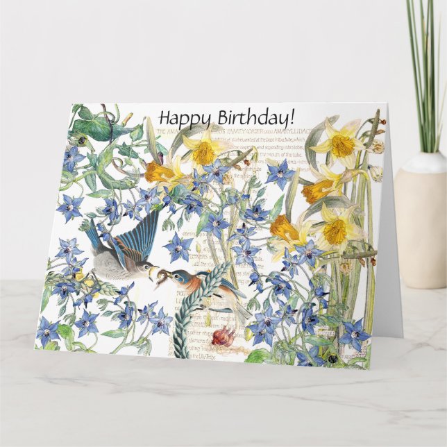 Carte d'anniversaire florale d'oiseau d'oiseau (Devant)
