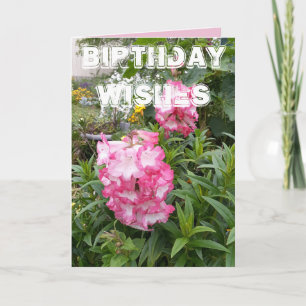 Carte d'anniversaire florale Jardin de fleurs de P