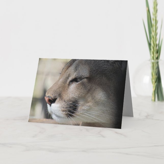 Carte d'anniversaire Florida Panther (Devant)