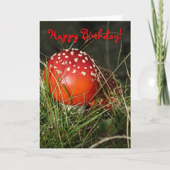 Carte d'anniversaire "Fly Agaric Mushroom" (Devant)