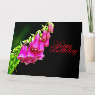 Carte d'anniversaire Foxglove & Bee