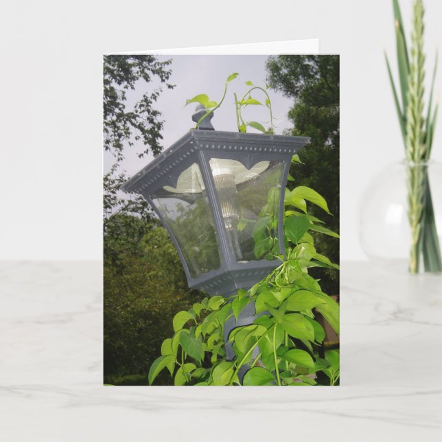 Carte d'anniversaire "Frontyard Streetlight" (Devant)