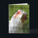 CARTE D'ANNIVERSAIRE FUNNY CHICKEN MÈRE CLUCKER<br><div class="desc">HEUREUX BIRTHDAY MÈRE CLUCKER</div>