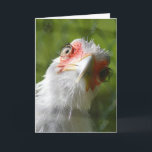 CARTE D'ANNIVERSAIRE FUNNY CHICKEN MOTHER CLUCKER<br><div class="desc">HEUREUX BIRTHDAY MÈRE CLUCKER</div>