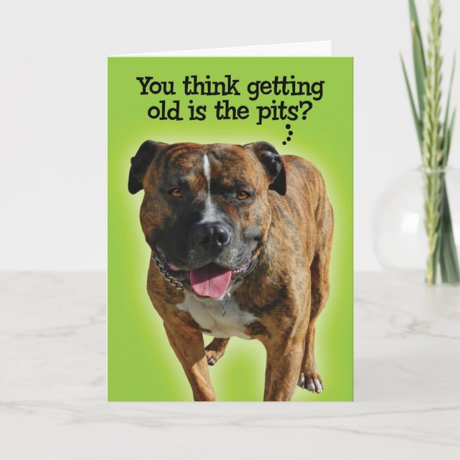 Carte d'anniversaire Funny Pit Bull (Devant)
